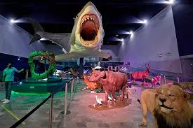 Vista del Museo de la Evolución Puebla